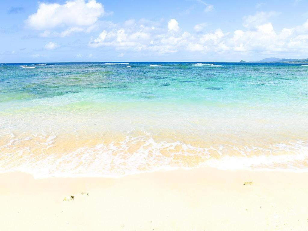 Rich Reson Ishigaki Hotell Ishigaki  Eksteriør bilde